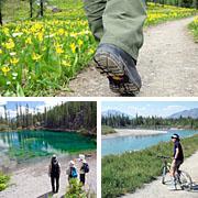 Bed & Breakfast Monarch Canmore Luaran gambar